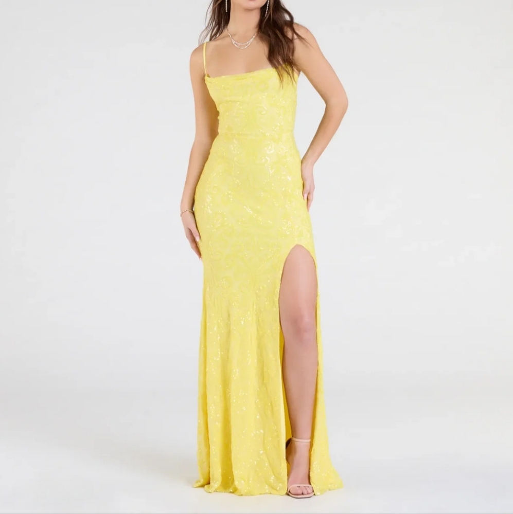 Gabrielle Formal Sequin Long Dress